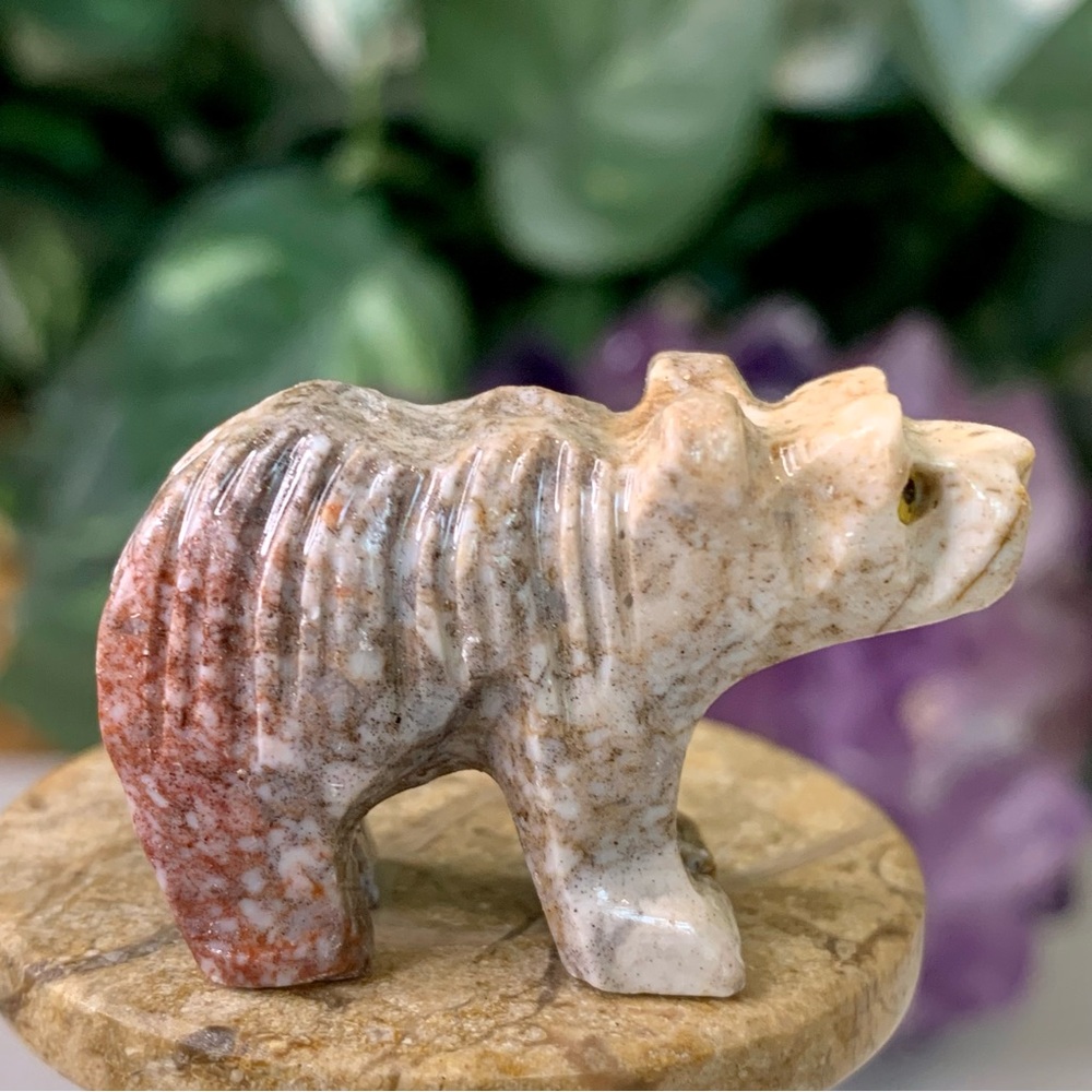 Bear